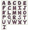 English alphabet vector, typography design. Background with many decorative latin letters