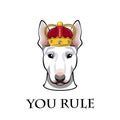 English Bull terrier dog head in crown. You rule text. Vector illustration.