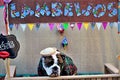 Caipirana Bulldog Free Kissing Booth at the Canine June Party