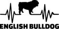 English Bulldog frequency