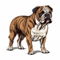 Vivid Comic Book Style English Bulldog Illustration On White Background