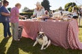 English Bulldog Sitting By Cake Stall At Busy Summer Garden Fete Royalty Free Stock Photo