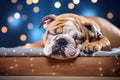 An english bulldog sleeping lying on a mattress on a clean background. Pet, Animals, Illustration, Generative AI Royalty Free Stock Photo