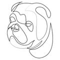 English Bulldog vector Dog portrait. Continuous line. Dog line drawing Royalty Free Stock Photo