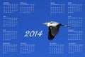 English 2014 calendar with heron in flight