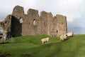 English castle ruins Royalty Free Stock Photo