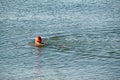 English channel swimmer