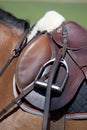 English classic riding saddle on a brown horse Royalty Free Stock Photo