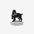 English cocker spaniel dog - vector illustration Royalty Free Stock Photo
