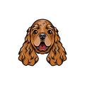 English cocker spaniel head. Vector illustration.