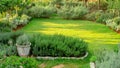 English cottage garden on green grass lawn backyard, infomal landscape decorate with rosemary herb, lavender, flower pots Royalty Free Stock Photo