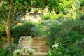 English cottage garden on green grass lawn backyard, infomal landscape decorate with roses, rosemary herb, lavender, flower pots