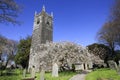 English Country Church and Spring Blossom Cornwall Royalty Free Stock Photo