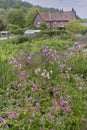 English country cottage garden with wild flowers Royalty Free Stock Photo