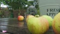Close up of wet apples on a garden table
