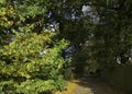 English Country Lane in Autumn Royalty Free Stock Photo