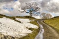 An English country lane with isolated trees and a bank of snow.