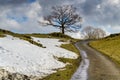 An English country lane with isolated trees and a bank of snow.