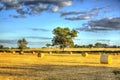 English country scene hay bales at harvest time in HDR