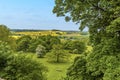An English country scene of mature trees, rapeseed and fallow fields
