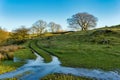 An English country scene with a partially flooded track passing through a field