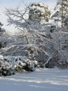 English Country Snow Scene Royalty Free Stock Photo