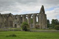 English countryside: Bolton Abbey ruins Royalty Free Stock Photo