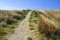 English countryside: footpath, grass, blue sky