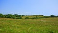 English countryside, green summer meadow on hill