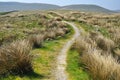 English countryside: hills, grass, footpath, field Royalty Free Stock Photo