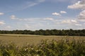 English Countryside, Holmer Green, Buckinghamshire