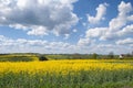 The English countryside in the summer near Thaxted in Essex