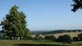 English Countryside on Summers Day Royalty Free Stock Photo