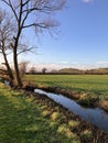 English countryside in winter sunlight Royalty Free Stock Photo