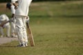 English Cricket Royalty Free Stock Photo