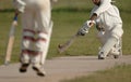 English Cricket Match Royalty Free Stock Photo