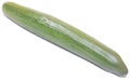 English cucumber on white