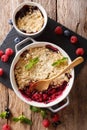 English cuisine: berry crumble is decorated with mint closeup. V Royalty Free Stock Photo