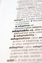 English Definition Dictionary Of Printed Word - Adaptable Close Up Royalty Free Stock Photo