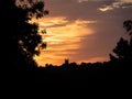 English evening sunset. Church in distance, rural setting.