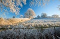 English farmland in winter Royalty Free Stock Photo