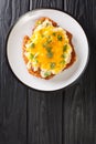 English fast food Parmo with chicken fillet breaded with bechamel sauce and cheddar cheese close-up in a plate. vertical top view Royalty Free Stock Photo