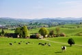 English field in Spring Royalty Free Stock Photo