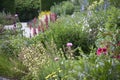 English Garden Border with Summer Flowers