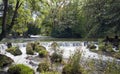 English Garden / Englischer Garten munich germany Royalty Free Stock Photo