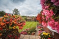 English garden in full summer bloom