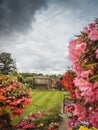 English garden in full summer bloom