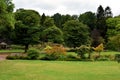 English garden Royalty Free Stock Photo