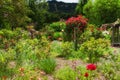 English Garden After the Rain Royalty Free Stock Photo