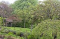 Trees, shrubs, flowers in a summer english garden